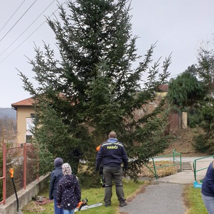 Vánoční stromek pro Pikovice 2021